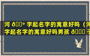 河 🌺 字起名字的寓意好吗（河字起名字的寓意好吗男孩 🐕 子）